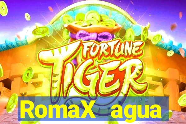 RomaX agua sanitaria fispq agua sanitaria romax
